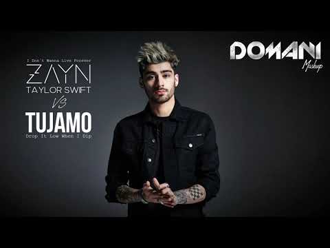 Tujamo Vs ZAYN & Taylor Swift - 🎧 I Don´t Wanna Keep Pushing Forever 🎵 (DOMANI Mashup)