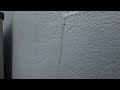 Acrobat Ants Trailing Up Into the Home in Rumson, NJ