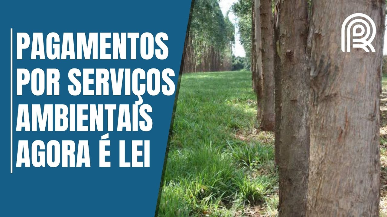 ‘Pagamento por serviços ambientais inaugura nova era para o Brasil’