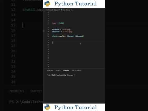 Duplicate Files With Python | Python Tutorial