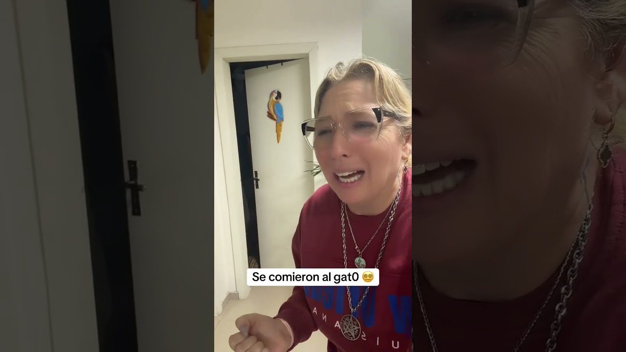 El chupacabras se llevó a la gata - MONIKITA OFICIAL