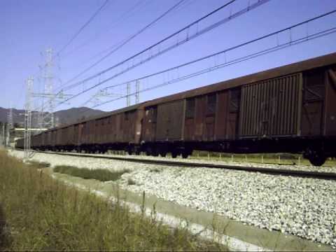 MRS51393 doppia simmetrica