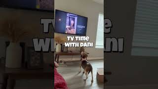 Video preview image #1 Beagle-Unknown Mix Puppy For Sale in Dunnellon, FL, USA