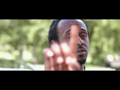 BFL Hizzle “ from Da 9 “