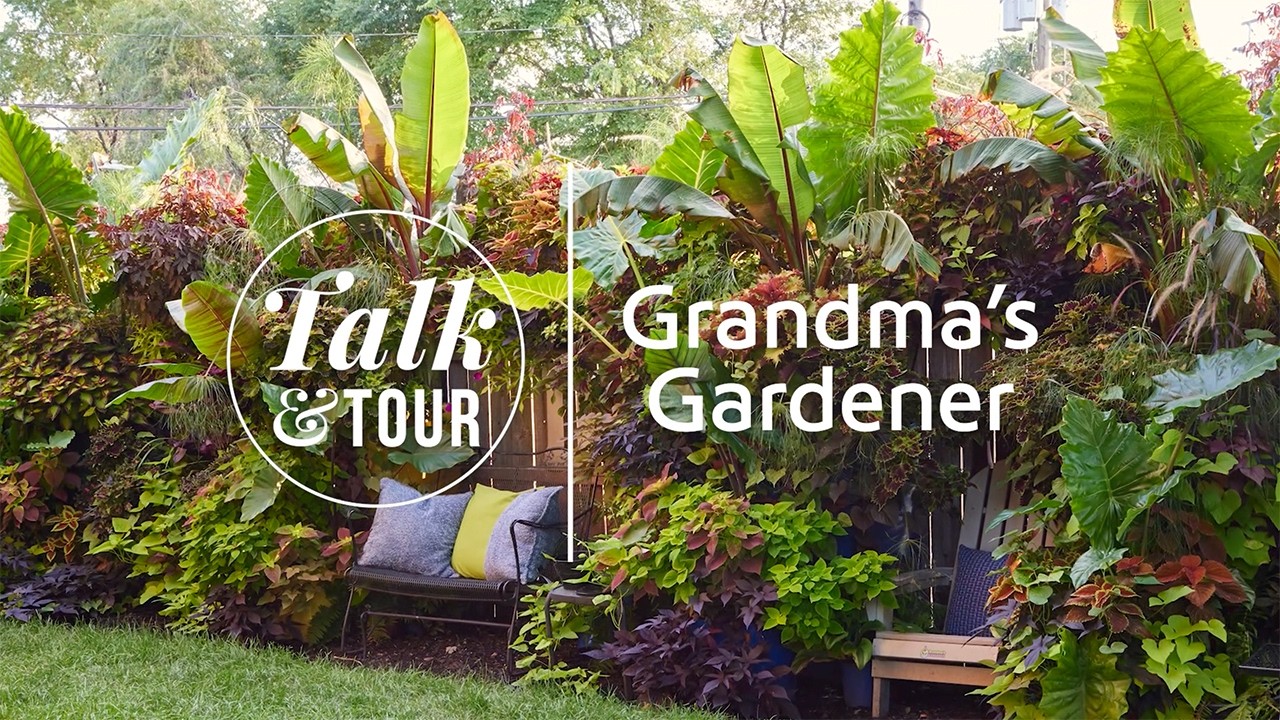 You Won’t Believe This Small Urban Garden Transformation