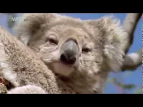 Deidream - Handle with care