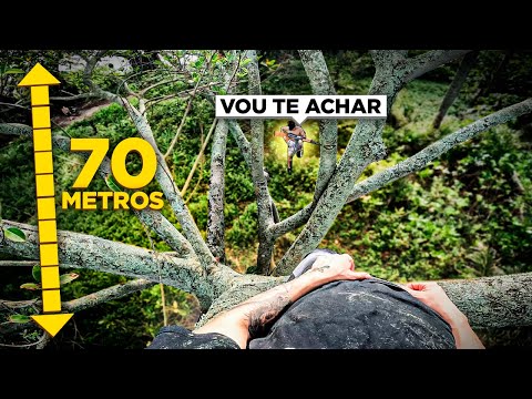 BLESSING! HIDE AND SEEK SU1CID4 ON THE ISLAND…(I HID IN THE ALTEST TREE!)