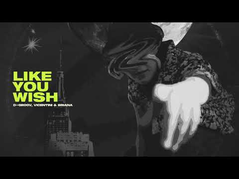 D-Groov, Vicentini, Briana - Like You Wish