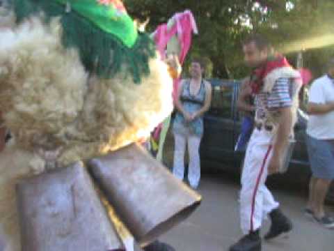 carnival solaris (2)