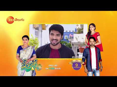 Raktha Sambandham - Telugu Tv Serial - Webisode - 370 - Meghana lokesh,Jyothi reddy - Zee Telugu