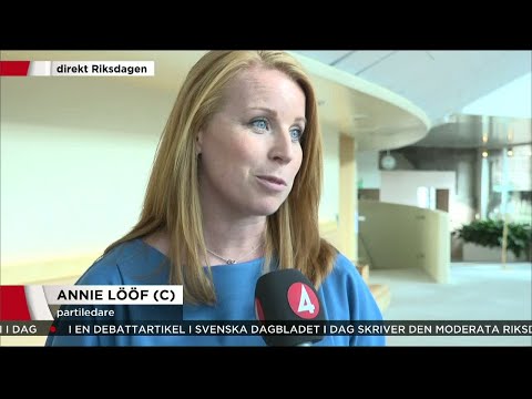 Lööf om vad folket vill ha efter omröstningen: "Minskat käbbel" - Nyheterna (TV4)