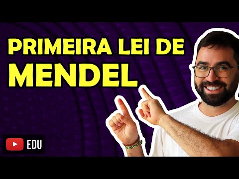 Primeira Lei de Mendel | VEJA O VÍDEO NOVO GRAVADO SOBRE ESSE ASSUNTO - LINK NA DESCRIÇÃO