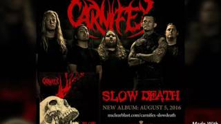 Carnifex - Servants To The Horde