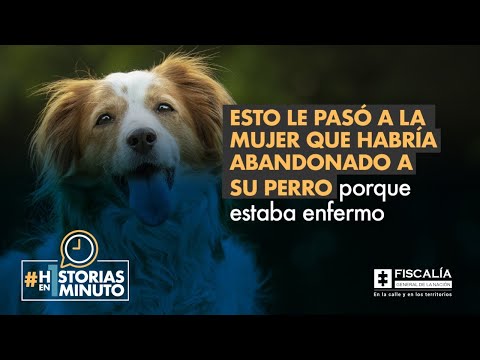 Esto le pasó a la mujer que habría abandonado a su perro porque estaba enfermo