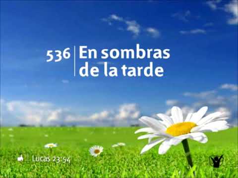 536 🌻 En sombras de la tarde #INSTRUMENTAL