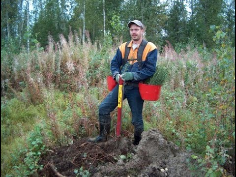 Tuplavakan sielunelämä