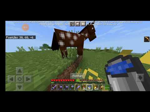 o que tem no segundo andar é domei meu primeiro cavalo creative craft #146