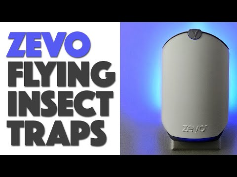 ZEVO Flying Insect Traps: Do they Work? #ad