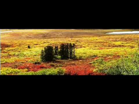 Pure Sound - Dempster Highway