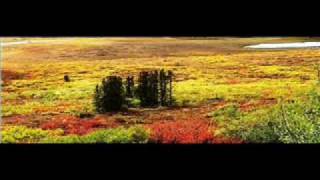 Pure Sound - Dempster Highway