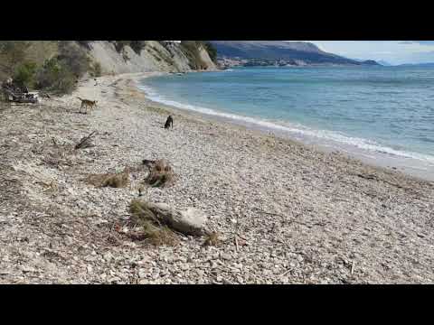 Švrćo se pravi važan