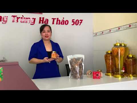 Ghé thăm cửa hàng đông trùng hạ thảo - NAM507