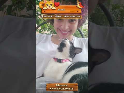 Vídeo de Amora