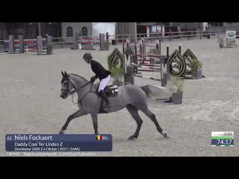 Daddy Cool Ter Linden Z