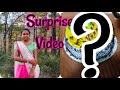 Surprise Video Of My Sister Brother Sister Vlogs