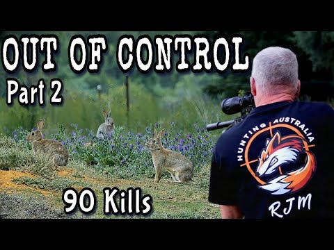 Hunting Rabbits || They're out of control on this small farm