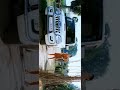 Love Feeling ️song Vankai Movie