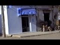Beni Ansar 