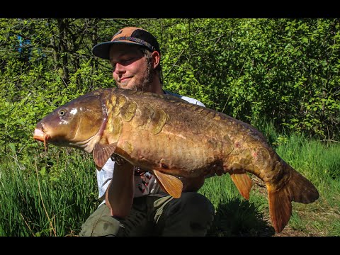 Spejlkarpe på 12,1 kilo