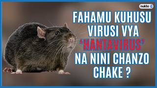 Fahamu kuhusu Virusi vya ‘Hantavirus’ na nini chanzo chake ?