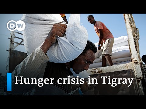 衣索匹亞受戰爭影響的提格雷地區人道主義形勢嚴峻 - DW新聞網 (Dire humanitarian situation in Ethiopia's war-hit Tigray reagion | DW News)