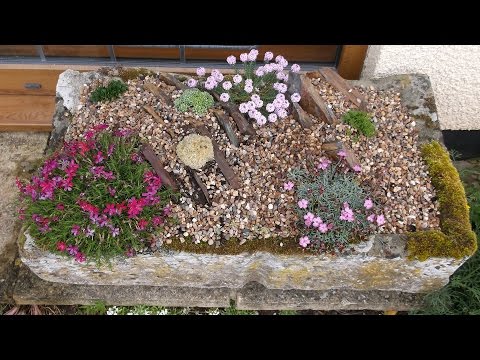 Making an Alpine Crevice Garden - and what happened next