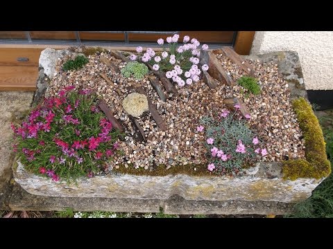 download lagu mp3 mp4 Soil For Alpine Trough, download lagu Soil For Alpine Trough gratis, unduh video klip Soil For Alpine Trough