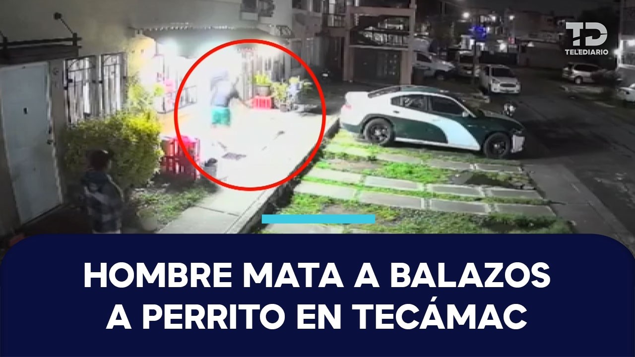 Willi Adrián 'N' mata a balazos a un perrito que descansaba al exterior de su casa en Tecámac