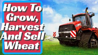 Farming Simulator 22 | Wheat Complete Guide | How To Grow, Harvest And Sell Wheat