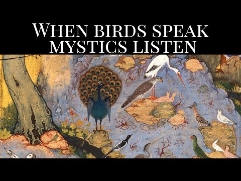 The Birds Were Speaking First