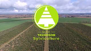 Miniature de la vidéo