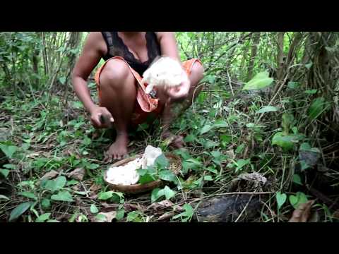 Survival skills: Find mushroom plants in wild & fried for food - Cooking mushroom eating delicious Video
