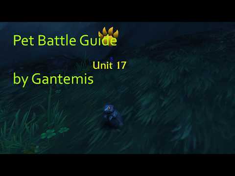 How to defeat Unit 17 pet battle