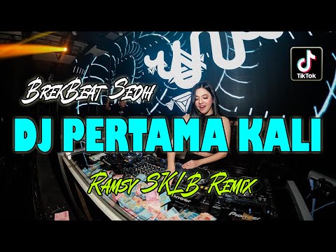 DJ PERTAMA KALI VIRAL TIKTOK ! REMIX