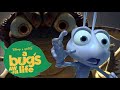 YTP A Bugs Awful Life KAMIKAZHOPPERS