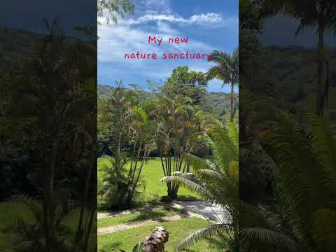 #sanrafaelantioquia