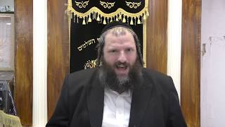 חמשה עשר בשבט - אחרי החורף יבוא האביב, באילן באדם ובעם ישראל - דבר תורה קצר עם סיפור לט"ו בשבט