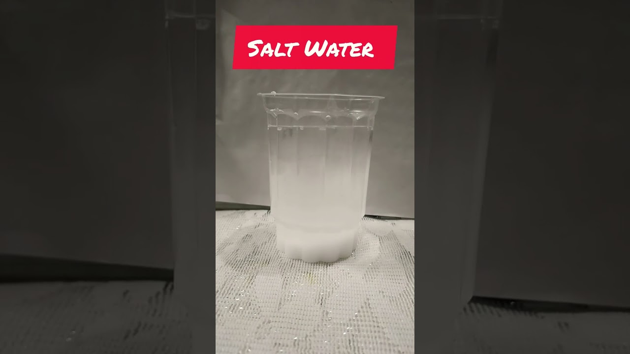 Archimedes Principal Experiment | Class 9 | Buoyant Force | Buoyancy | Simple Science Experiment