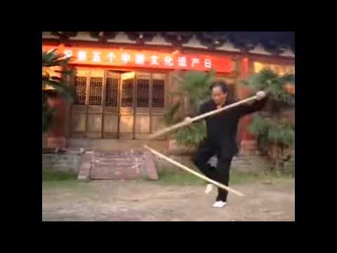 Xinyi Liuhe - Panlong Gun - Coiling Dragon Staff