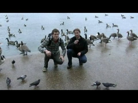 SU&SD - Season 1, Episode 1 [Citadels & Memoir '44]